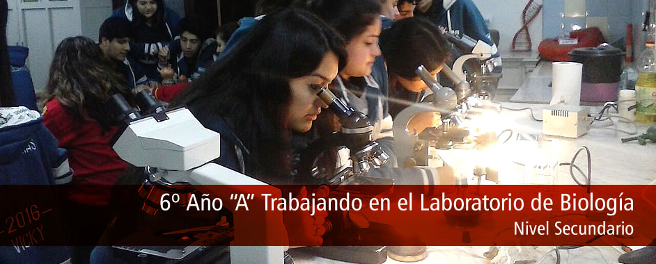 6º Año “A” Trabajando en el Laboratorio de Biología