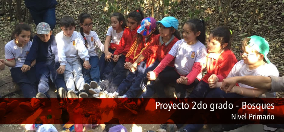 Proyecto 2do grado - Bosques