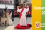 Acción solidaria