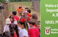 Visita a la granja