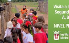 Visita a la granja